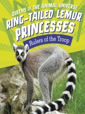 cover image of Ring-Tailed Lemur Princesses